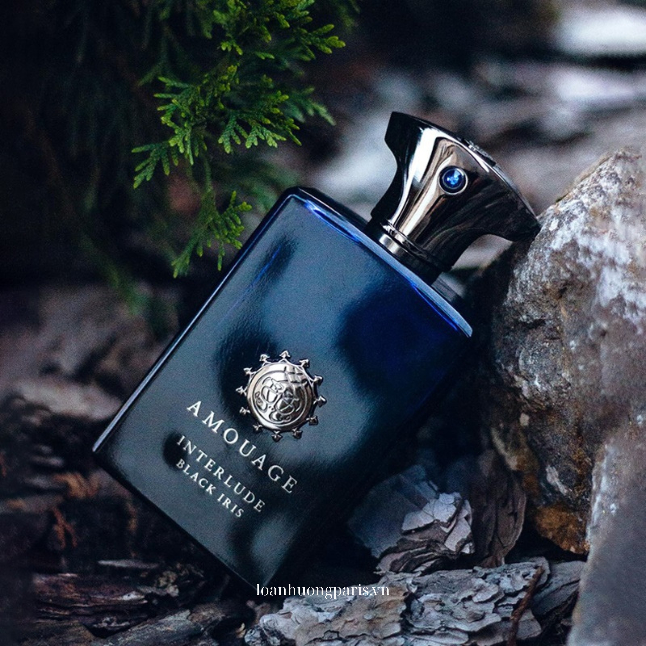 nước hoa Amouage Interlude Black Iris EDP