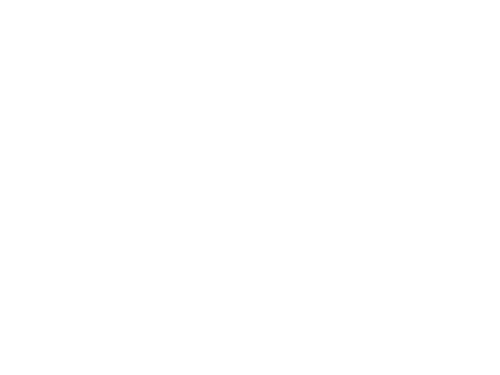 logo Salvatore Ferragamo
