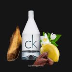 CK IN2U For Him EDT 3