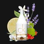 Calvin Klein IN2U For Her EDT 3