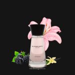 Burberry Touch For Women 3