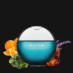 Bvlgari Aqva Pour Homme EDT 3
