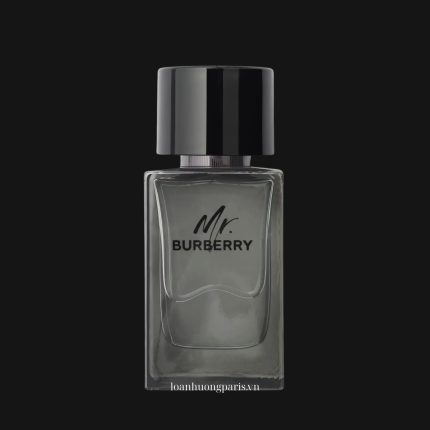 Mr. Burberry EDP 1