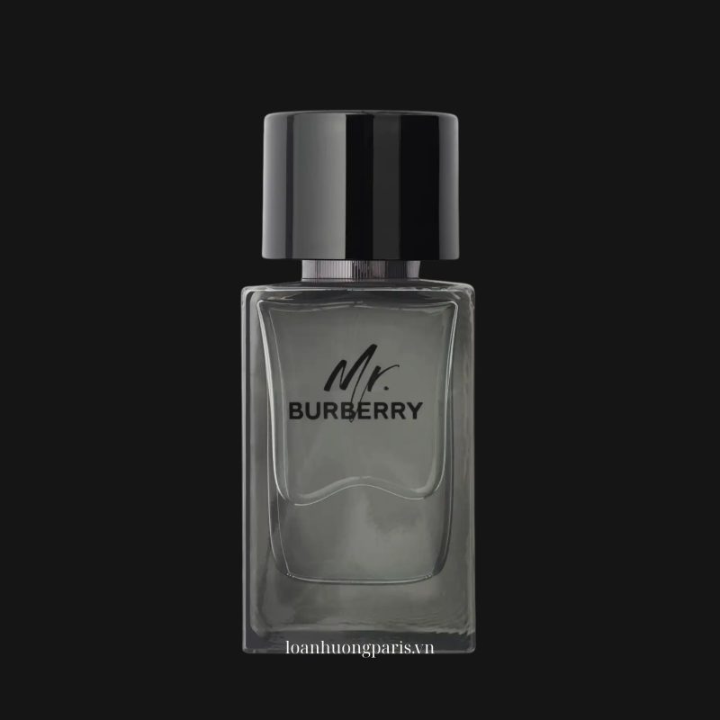 Mr. Burberry EDP 1