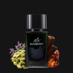 Mr. Burberry EDP 3