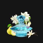 Britney Spears Curious EDP 3