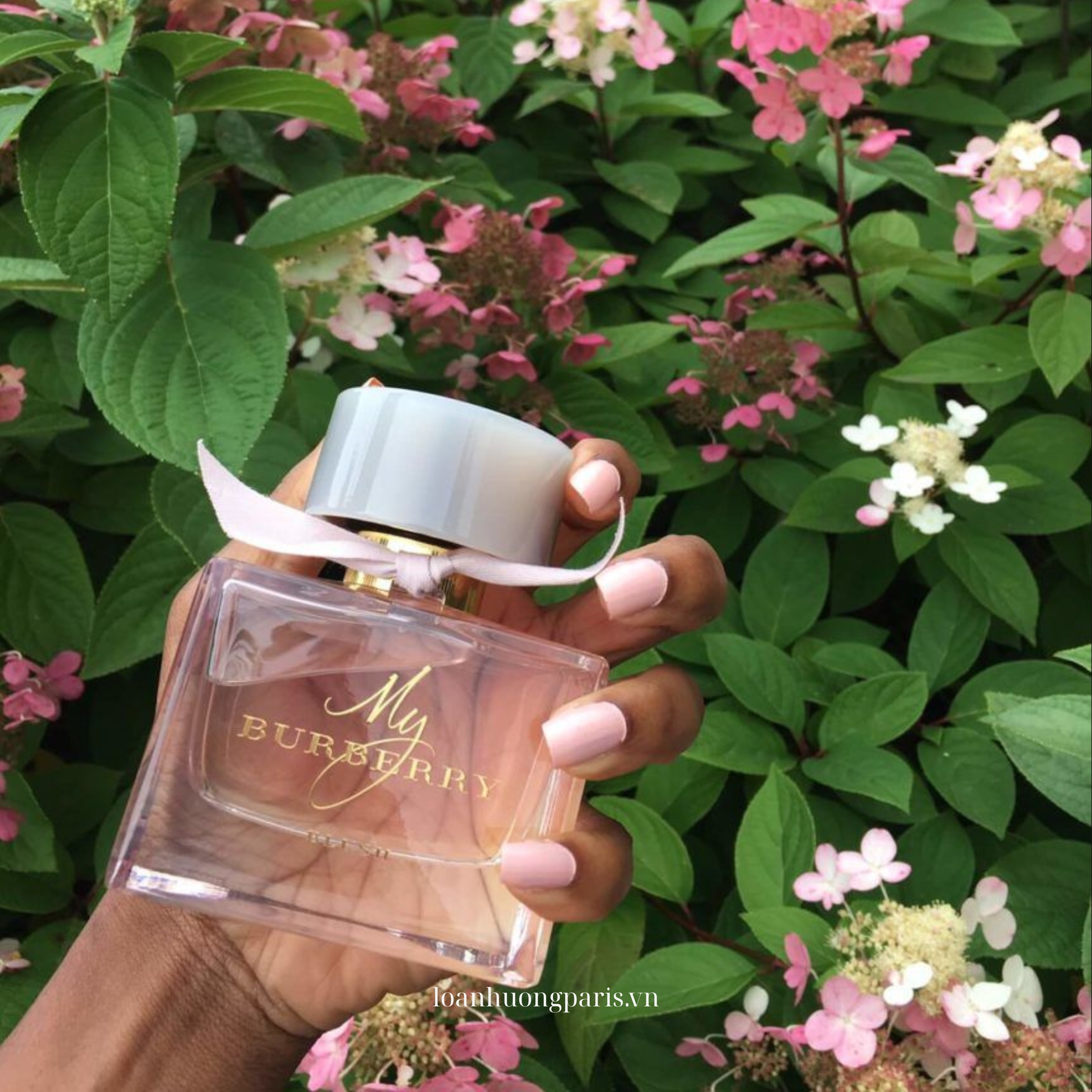 nước hoa My Burberry Blush EDP
