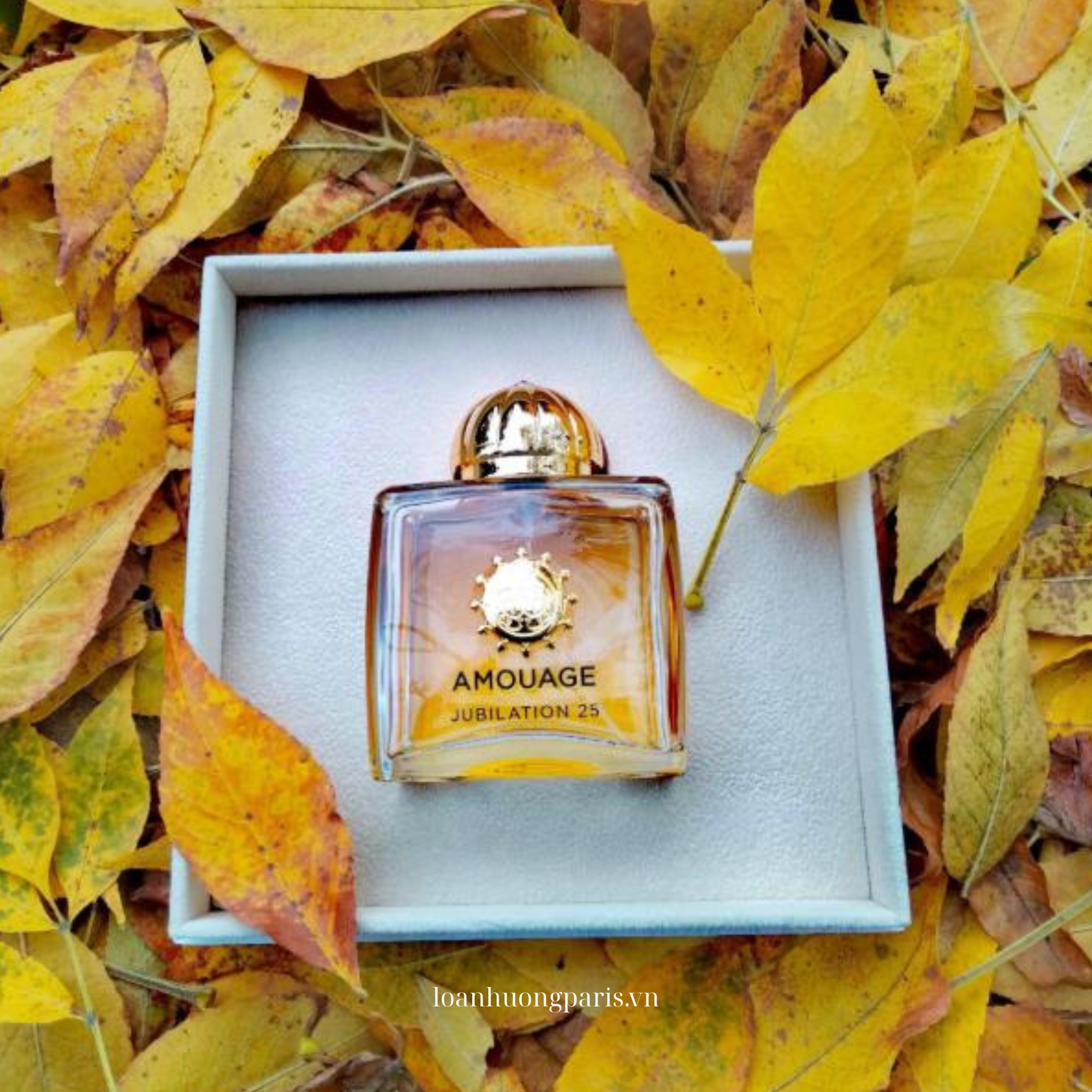 nước hoa Amouage Jubilation XXV Women 100ml