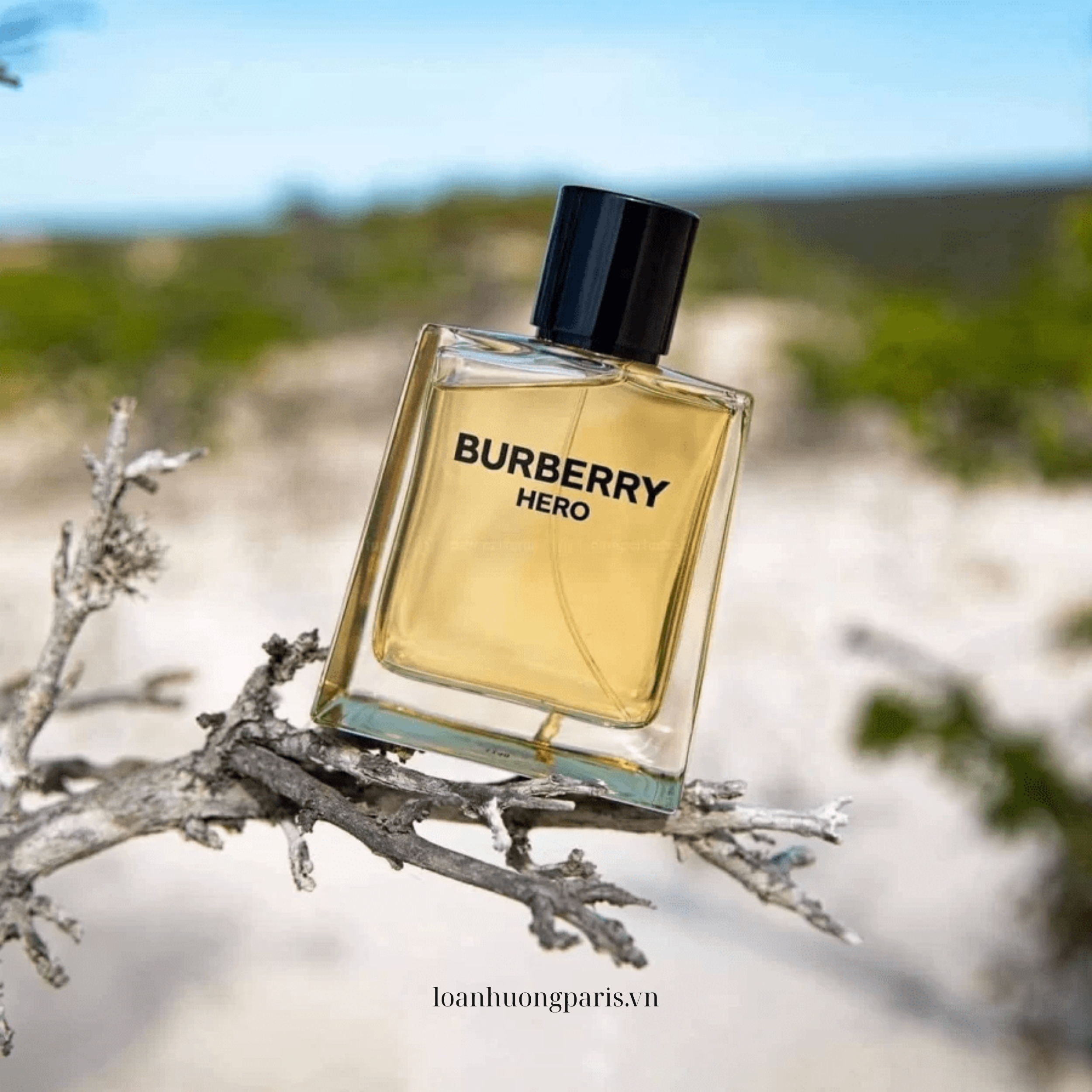 nước hoa Burberry Hero EDT