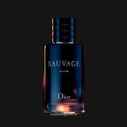 Dior Sauvage Parfum 1
