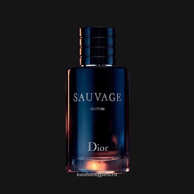 Dior Sauvage Parfum 1