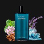 Davidoff Cool Water For Men 3