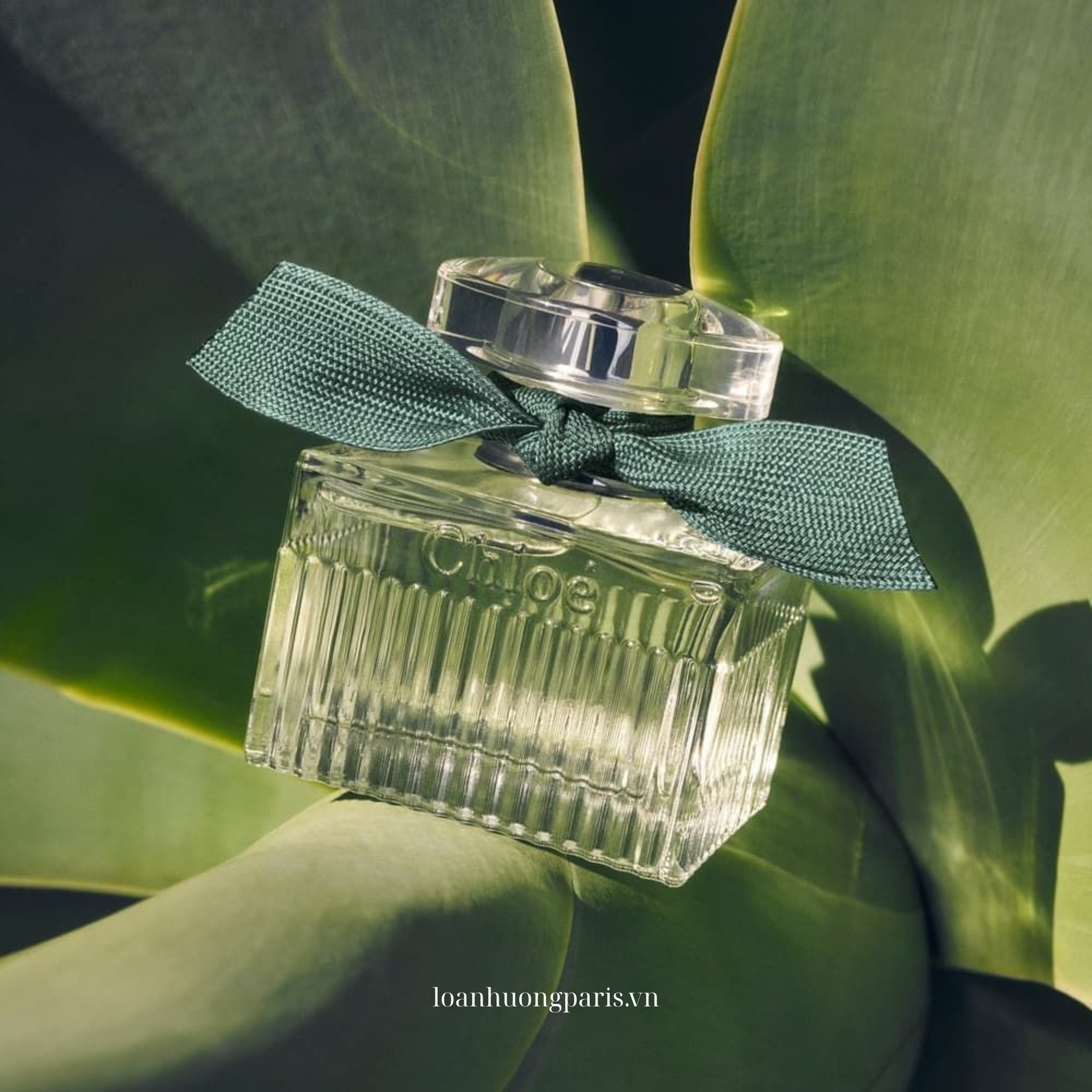Chloé Rose Naturelle Intense EDP 4
