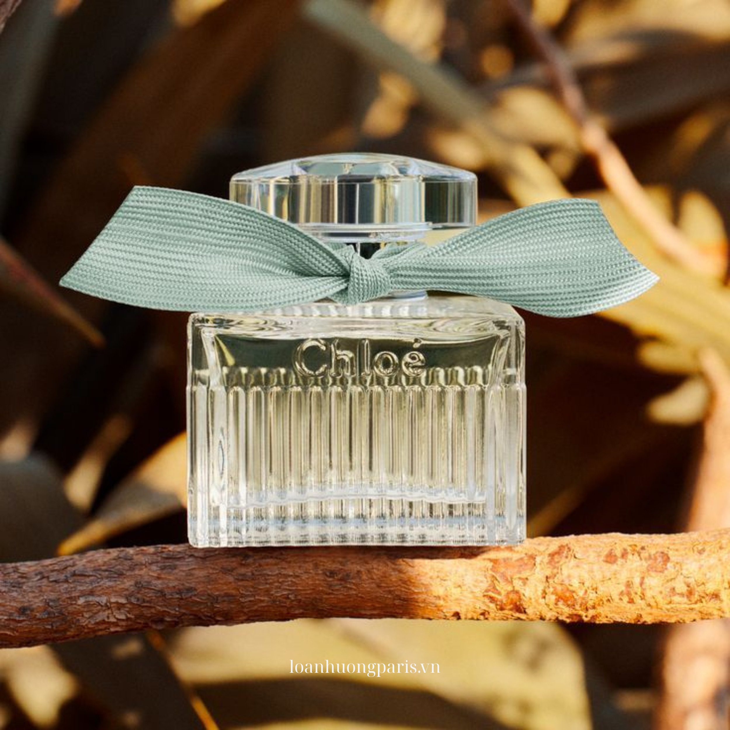 Chloé Rose Naturelle Intense EDP 5