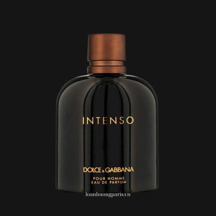 Dolce & Gabbana Intenso EDP 1